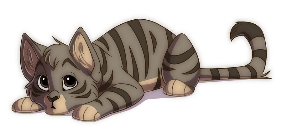 Random kitty by Kamirah on DeviantArt