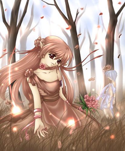 ROF: autumn flora