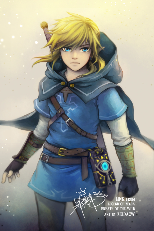 The Legend of Zelda: Breath of the Wild Fanart : r/zelda