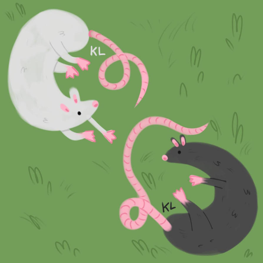 Rats by fanboi420 on DeviantArt