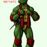 RAPHAEL