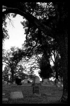 Cemetery 1