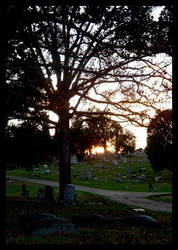 Cemetery 2