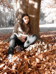 Fallen leaves