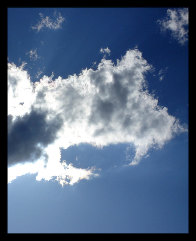 My Image 21