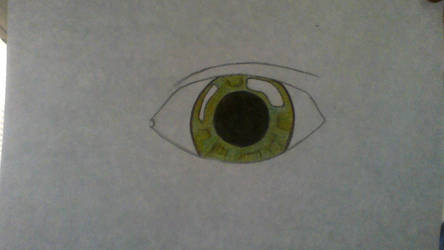 Eye