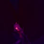 Spyro The Dragon