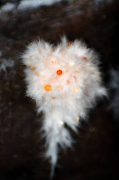 Fuzzy with Droplets of Resin