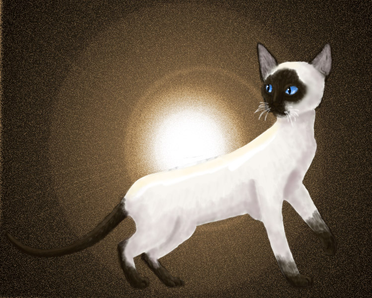 Siamese