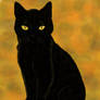 Black Cat