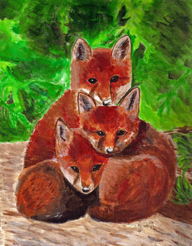 Bundle 'O Foxes
