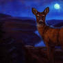 Deer by Moonlight