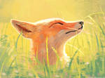 Sunlit Fox