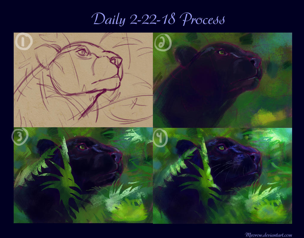 Daily 2-22-18 Process