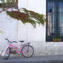 The Pink Bike