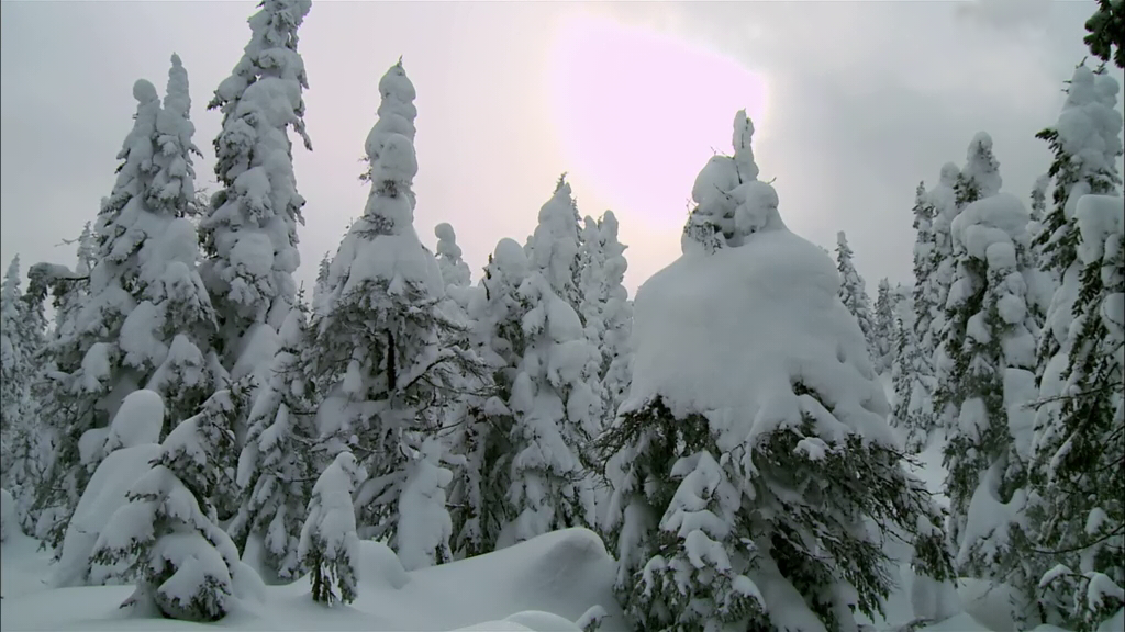 Vallee des Fantomes(le Quebec)