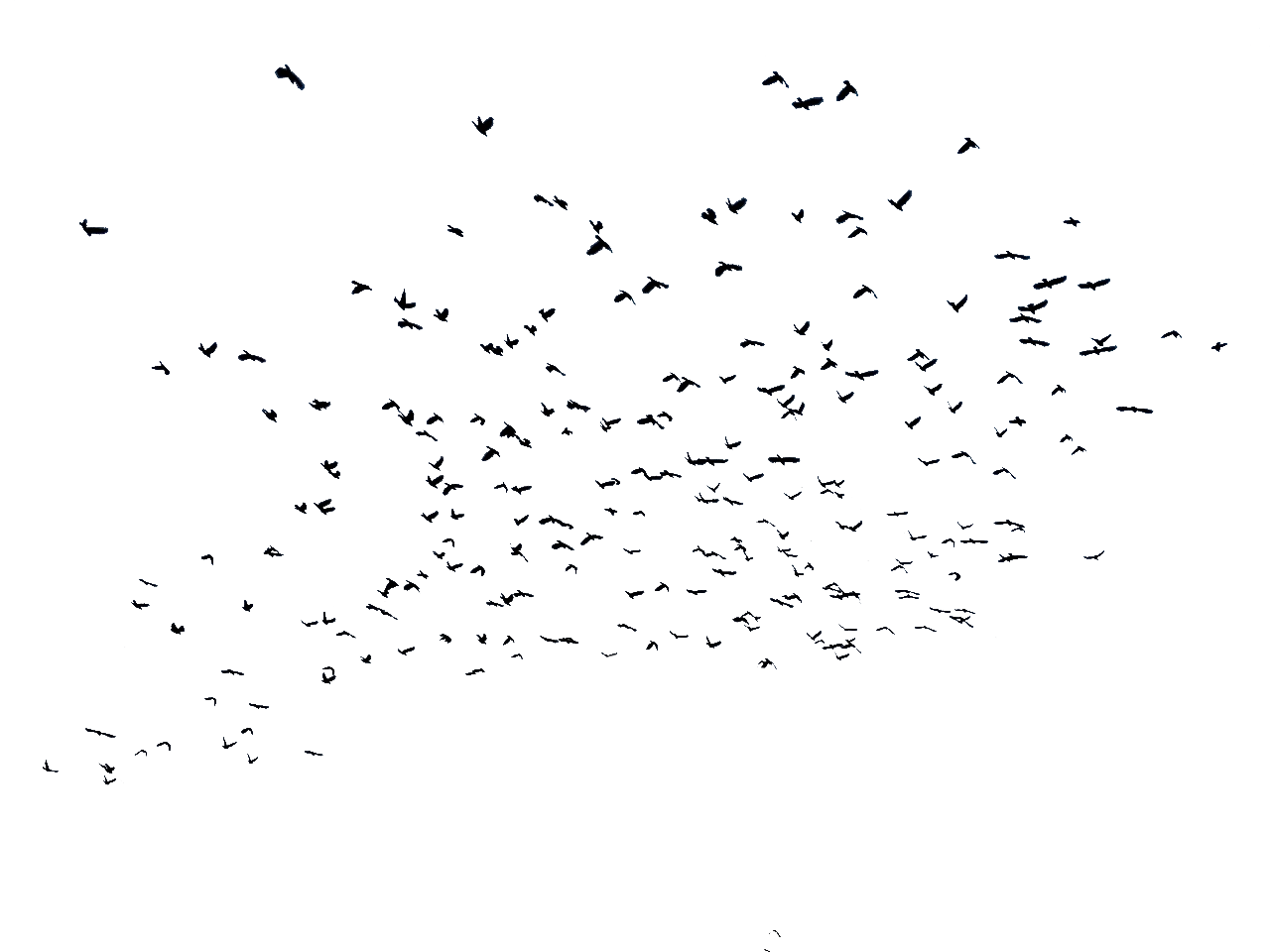 Les Corbeaux Png By Boodlemoo On Deviantart Les Corbeaux Png By Boodlemoo On Deviantart