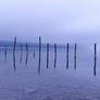 Automne au Lac du Bourget 