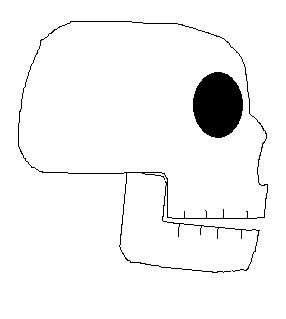 Skull Talking Animation by Neopets2012 on DeviantArt Skull Talking Animation by Neopets2012 on DeviantArt