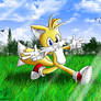 Collab: Tails the man