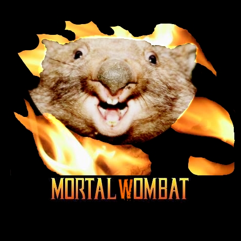 Mortal Wombat By ArtemisiaAbsinthium On DeviantArt mortal-wombat-by-artemisiaabsinthium-on-deviantart