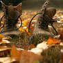 autumn boots