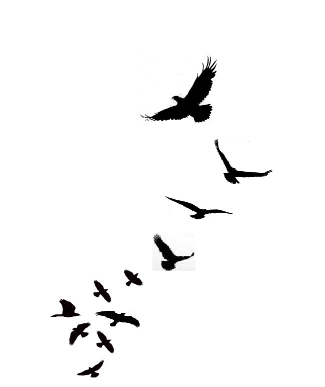 My tattoo design - free bird by nimrodV on DeviantArt My tattoo design - free bird by nimrodV on DeviantArt