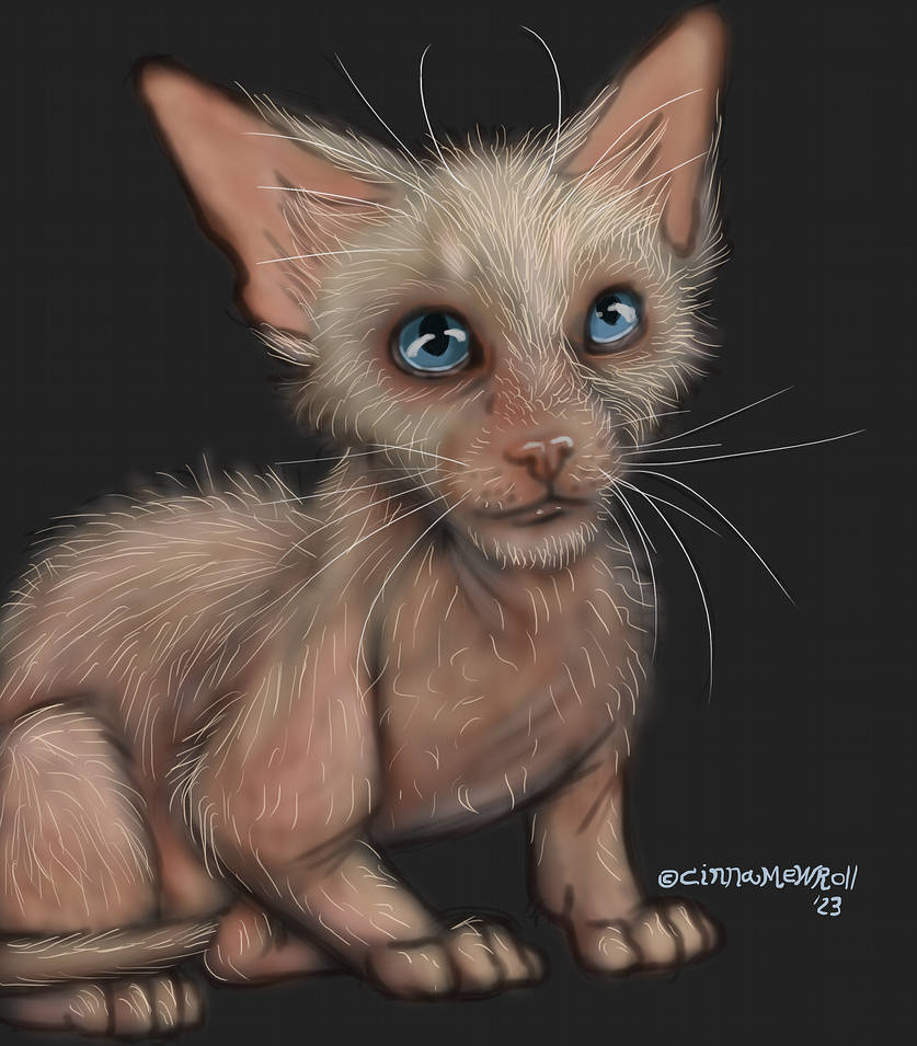 Bright boy by CinnamewRoll on DeviantArt