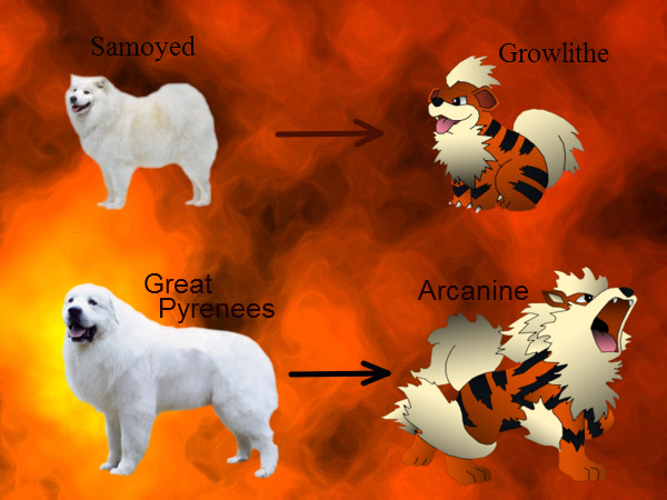 Pokemon Real vs Fake....White Fire Dog