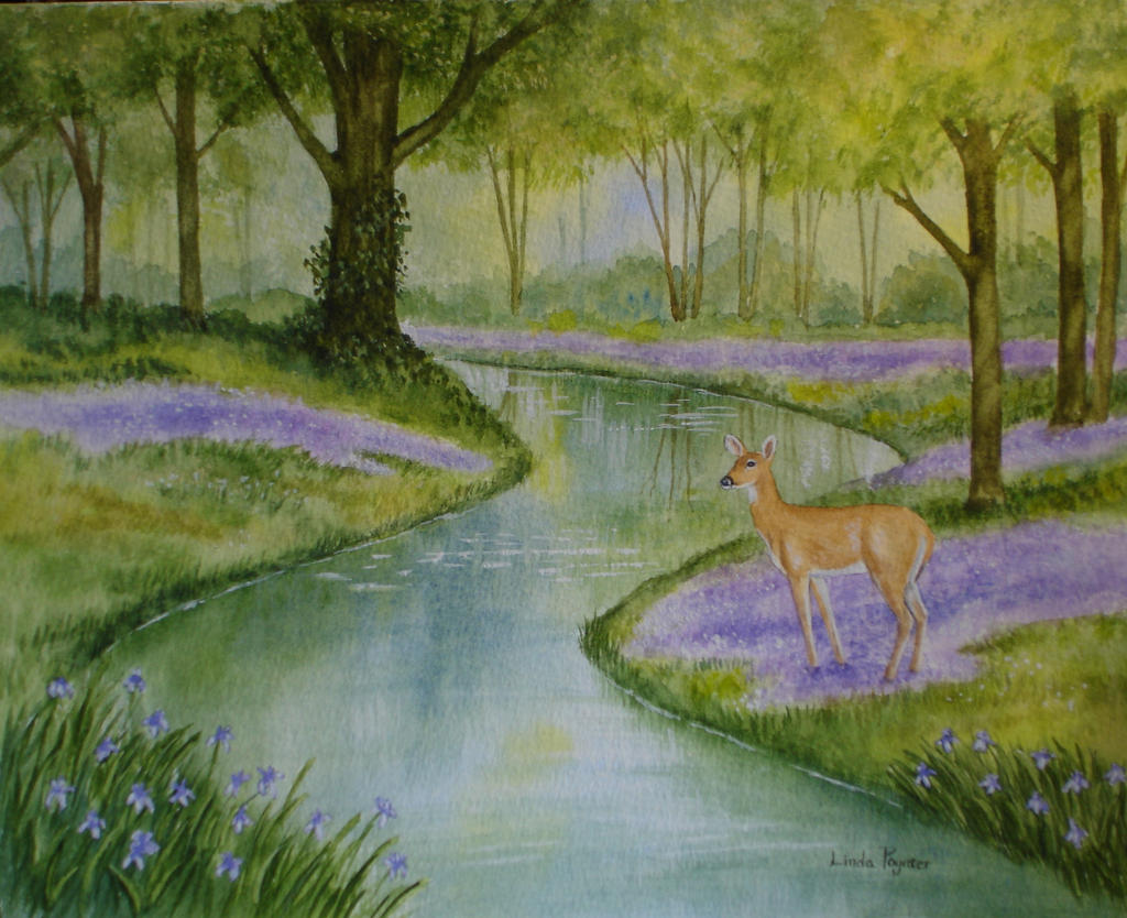 Doe and Bluebells
