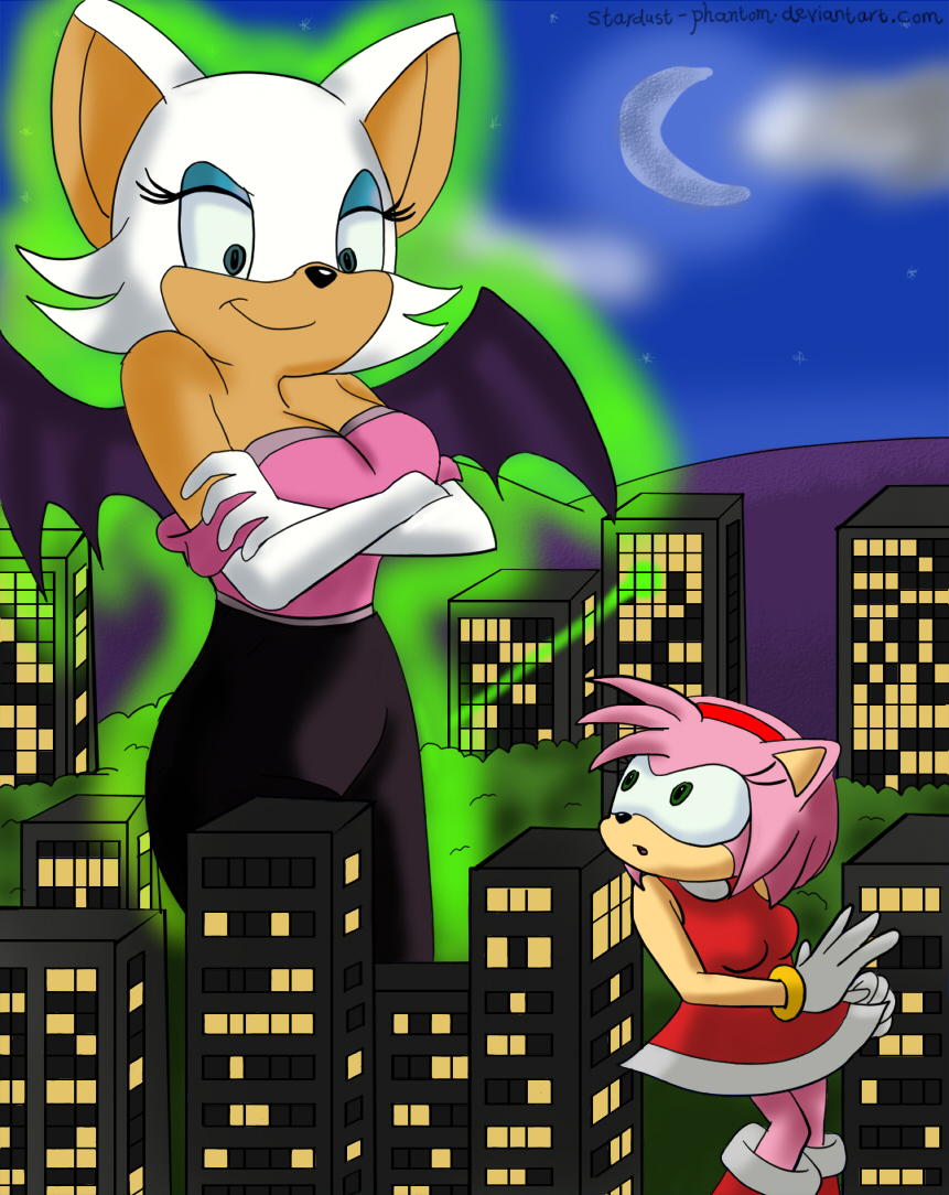 Amy and Rouge.