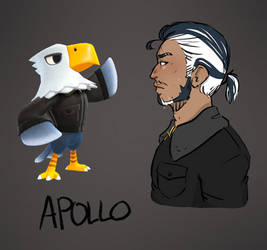 Apollo acnh human design 