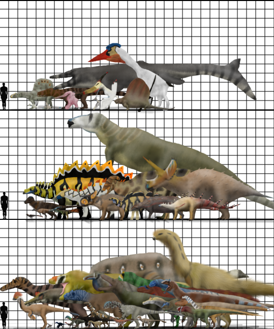 Size Chart Revisited