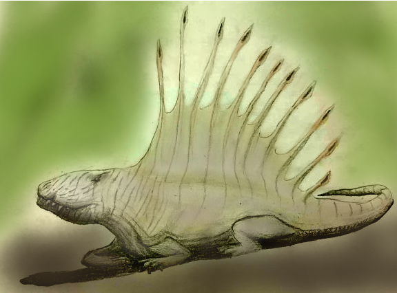 A Digitally Colored Dimetrodon