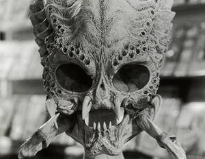 Predator skull