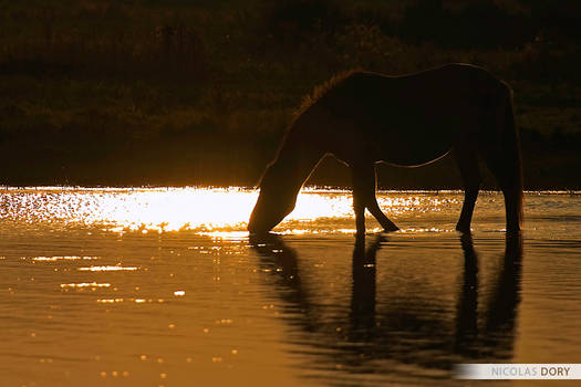 Henson Horse