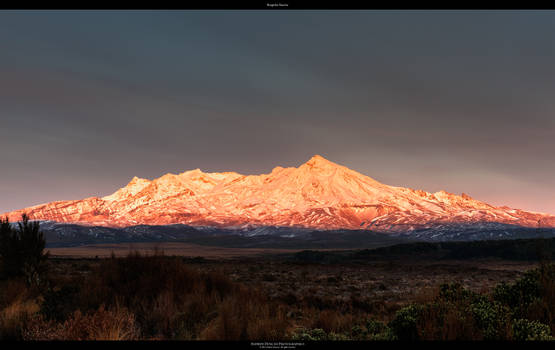 Ruapehu Sunrise