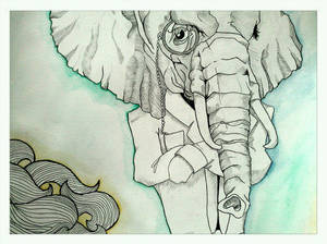 Brandon Boyd's Elephant