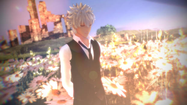 Gintoki in the Sunshine