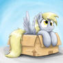 Derpy In A Box