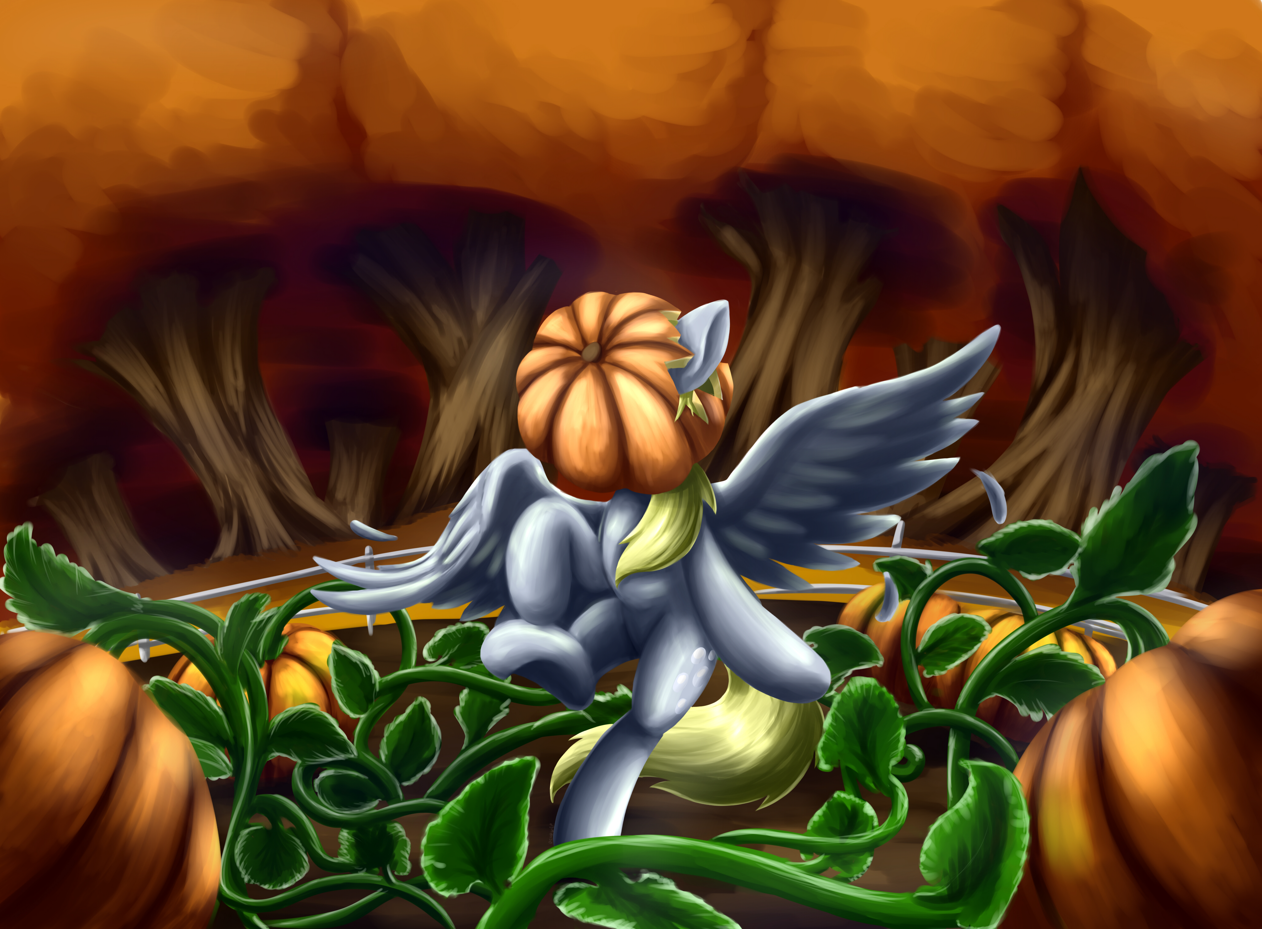 In the pumpkin patch