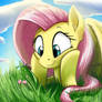 Fluttershy Doodle