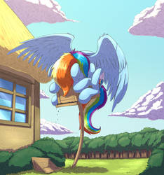 Rainbow Bird