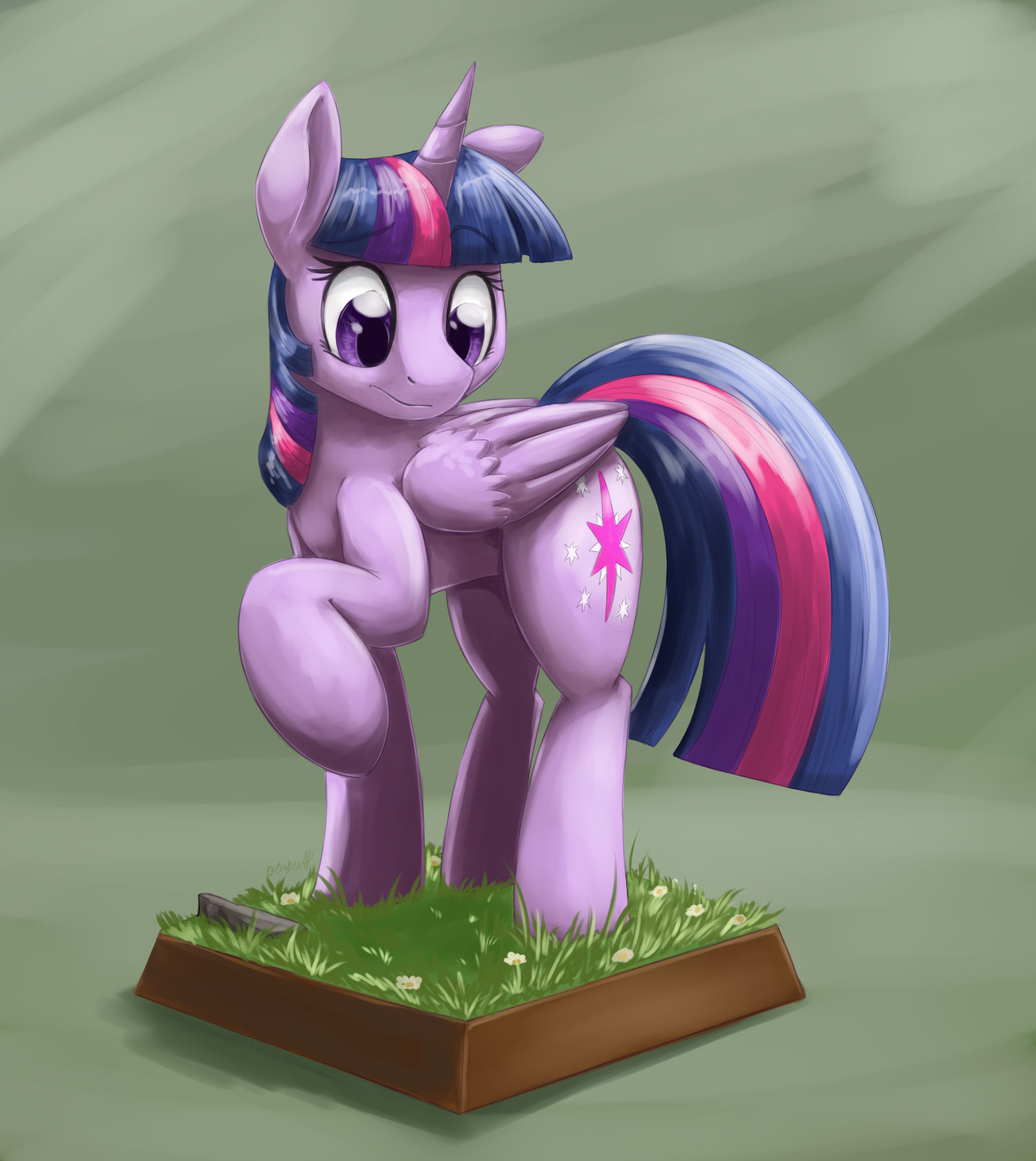 Miniature Pony