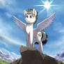 Pony On A Rock