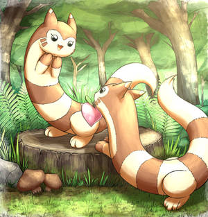 Furret Gift