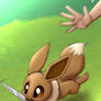Eevee Dash