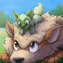 A New Friend