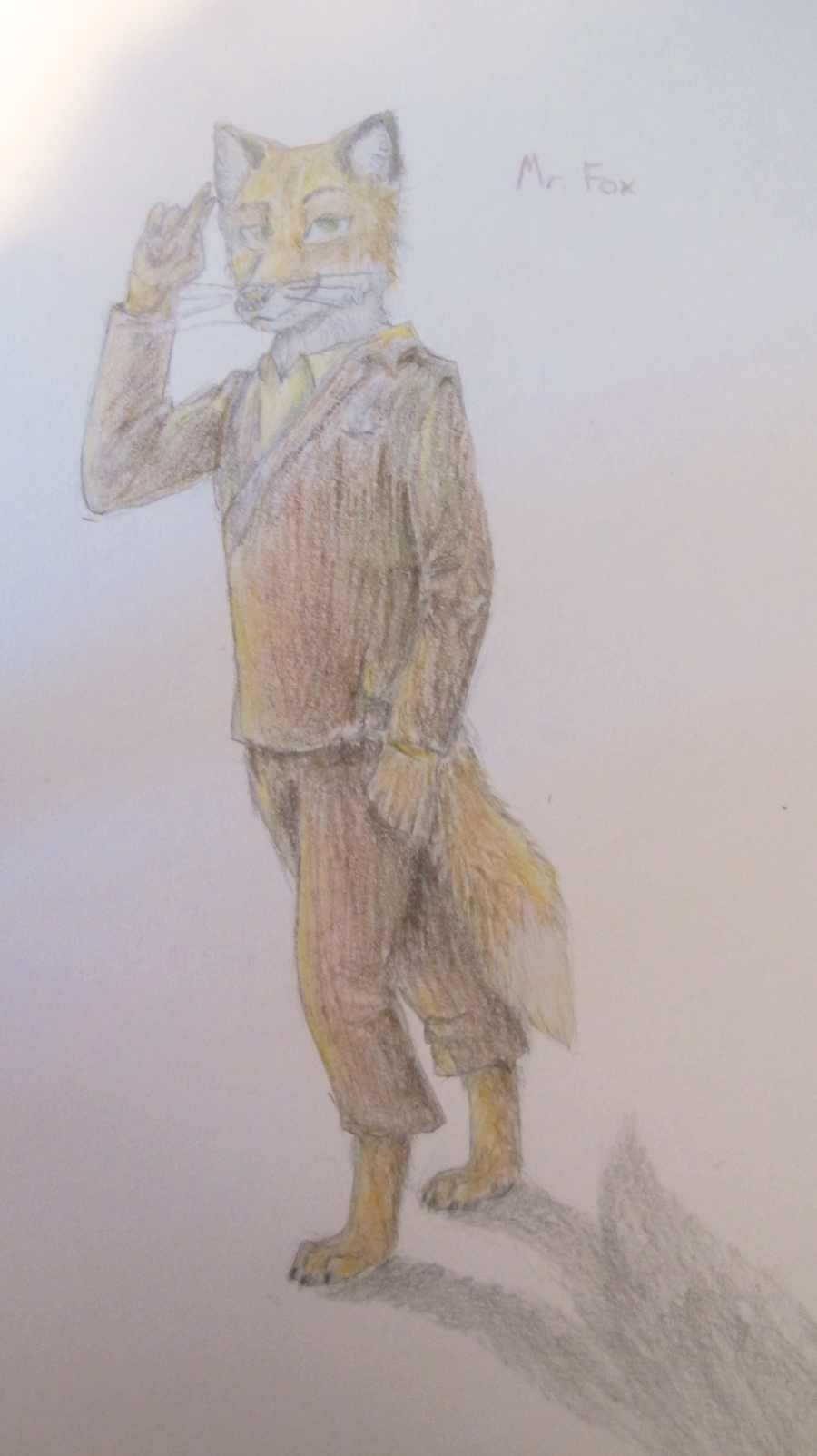 Mr. Fox