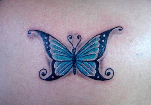 Butterfly 4